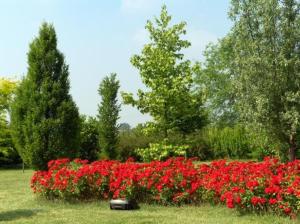 A garden outside Hotel Fondo Catena