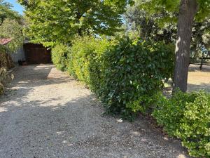 Photo de la galerie de l'établissement Villa Civita, à Colonnella 28 autres photos