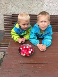Majutusasutuses Erlebnishof Schiman peatuvad lapsed