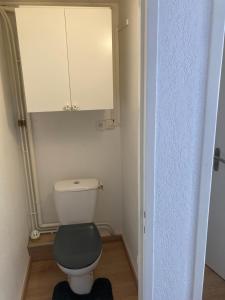 a small bathroom with a toilet and a cabinet at Maisons du lac in Le Barcarès +26 photos