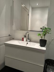 a bathroom with a white sink with a potted plant at 185m2 groot appartement met tuin in City Centre in Amsterdam +15 photos