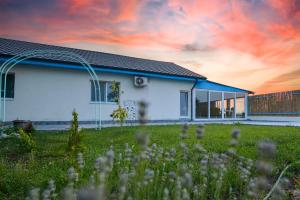 a house with a field of grass in front of it at Casa Feodor in Jurilovca