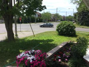 
a car parked on the side of a road next to a flower garden at Mac B&B in Ottawa
