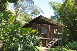 Gallery image of Hakuna Matata Amazon Lodge in Archidona