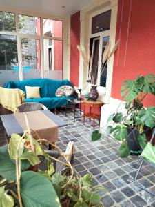 a living room with a blue couch and some plants at L'auberge Beauraing in Baronville