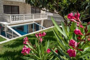 Zahrada ubytování Villa Solis