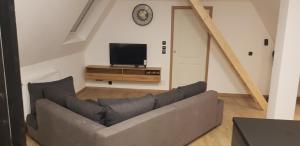 a living room with a couch and a tv at jolie F3 duplex 2 chambres in Lutterbach