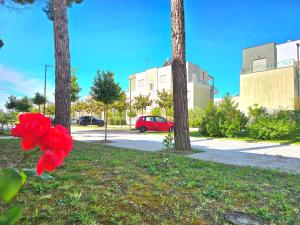 a red flower in the grass near some trees at Perla Holiday Homes 246 in Lalzit Bay +33 photos