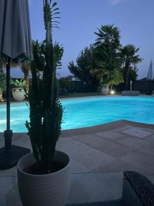 Gallery image of Villa palmeraie in Courpignac