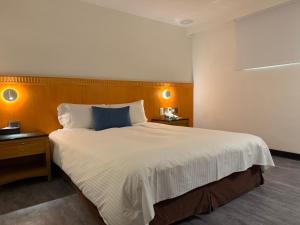 Postel nebo postele na pokoji v ubytování Hub Hotel Kaohsiung Cisian Branch