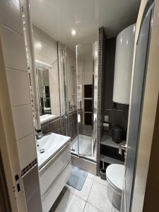 a bathroom with a shower and a sink and a toilet at Très jolie F2 à 250m de la plage in Courseulles-sur-Mer