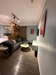 a living room with a couch and a bed at Big Studio Unit in Lekki phase 1 - Kitchen, Washer, 24-7 light, WiFi & Netflix in Lagos