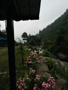a view from a window of a field with pink flowers at Star Manali in Palchān