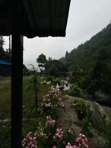 a view of a field with pink flowers at Star Manali in Palchān