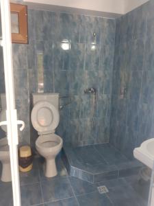 a bathroom with a toilet and a shower at Casa Dina in Băile Herculane
