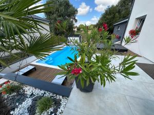 a backyard with a swimming pool and plants at Villa au calme suréquipée 3 ch 9p maxi in Flainval