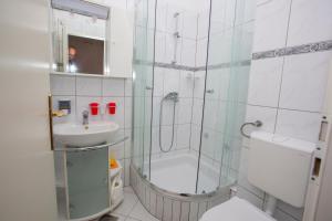 a bathroom with a shower and a toilet and a sink at Villa Ankora Apartments Tučepi in Tučepi
