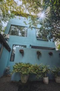 Κήπος έξω από το REZ SPACE Apartment 01 +2 φωτογραφίες