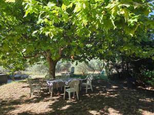 a table and chairs sitting under a tree at Saignon, Chambres d hôtes in Saignon