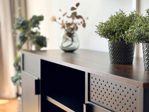 two potted plants sitting on top of a desk at Kleine BergZeit in Sankt Andreasberg
