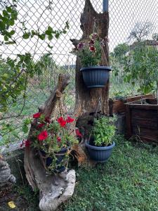 Zahrada ubytování Ιξός Home