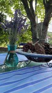 Zahrada ubytování Ιξός Home