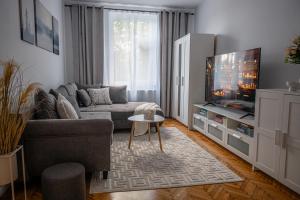 a living room with a couch and a tv at Forest Edge Retreat in Lupeni