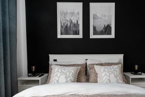 a bedroom with black walls and a bed with pillows at Forest Edge Retreat in Lupeni