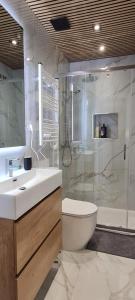 ein Badezimmer mit Dusche, Waschbecken und Toilette in der Unterkunft Suits recién reformadas Marqués de Vadillo in Madrid