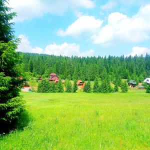 un campo de césped verde con árboles en el fondo en Planinska kuca Beli bor, en Jokići