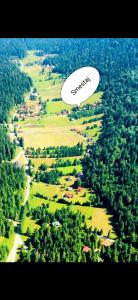 Una vista aérea de un bosque con un globo de diálogo que dice emergencia en Planinska kuca Beli bor, en Jokići 2 fotos más