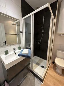 een badkamer met douche, wastafel en toilet bij Appartement entier Cosy in Grenoble +2 foto's