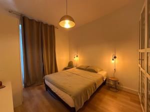 een slaapkamer met een groot bed in een kamer bij Appartement entier Cosy in Grenoble