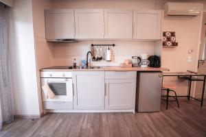 Eldhús eða eldhúskrókur á Seaside Studio Meltemi
