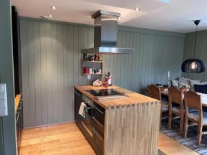 Kuchyň nebo kuchyňský kout v ubytování Mailatunet - Vestlia resort + 20 fotografií