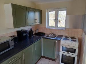 eine Küche mit grünen Schränken, einer Spüle und einer Mikrowelle in der Unterkunft Old School Cottage in Toller Porcorum