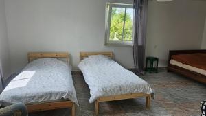two beds in a room with a window at Domek letniskowy Dolice in Dolice