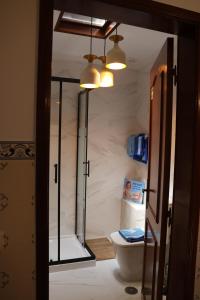 a bathroom with a toilet and a glass door at BBA1 Appartement climatisé centre-ville Ferrel in Ferrel