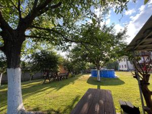 Afbeelding uit fotogalerij van Pensiunea Casa Domnitei in Baia de Fier +81 foto's