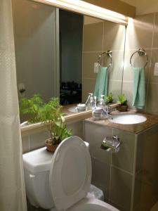 a bathroom with a toilet and a sink and a mirror at Charming home with lush garden in Buhangin Davao City in Davao City