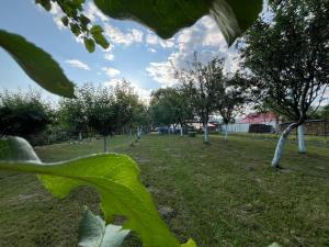 Afbeelding uit fotogalerij van Pensiunea Casa Domnitei in Baia de Fier