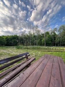 Afbeelding uit fotogalerij van Pensiunea Casa Domnitei in Baia de Fier