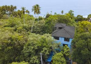a blue house in the middle of the forest at REZ SPACE Apartment 05 in Hiriketiya