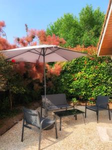 En have udenfor Maison paisible avec jardin - proche du lac de Sanguinet + 21 billeder