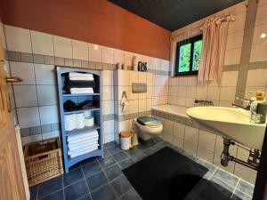 a bathroom with a sink and a toilet and a sink at Waldhaus im Erzgebirge in Augustusburg