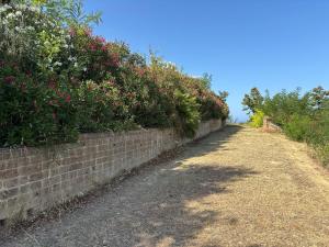 Photo de la galerie de l'établissement Villa Civita, à Colonnella