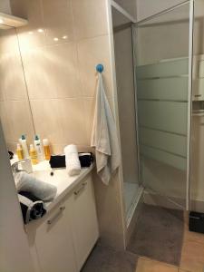 a bathroom with a shower and a sink at Studio- très calme - Proche Bidart et Guétary " AHETZE" in Ahetze