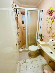 a bathroom with a shower and a toilet and a sink at Cindys Get away in Ulot