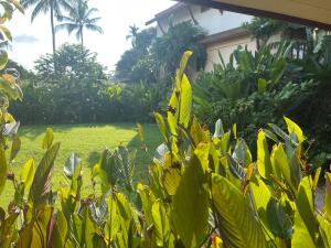 Taman di luar Samui Sense Revive
