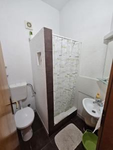 a bathroom with a shower and a toilet and a sink at Apartmani Katja in Omiš